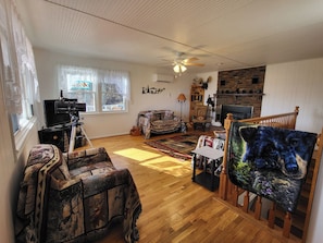 TV, fireplace