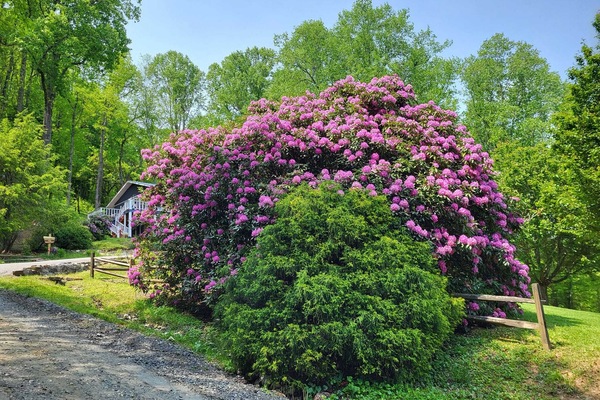 Àrea exterior de l'allotjament