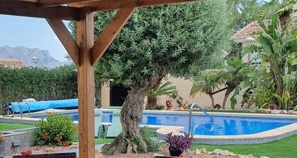 Serene mountain views. Spacious garden with 10x5m pool.