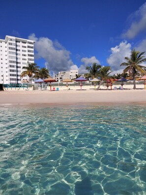 On the beach - Tropical Oasis: Ocean View ~ Pool & Bar ~ Family-Friendly (Freeport, Grand Bahama Island)