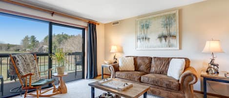 TV, fireplace, DVD player, books