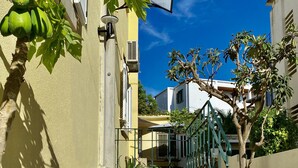 A narrow alleyway with a staircase leading to a building, surrounded by greenery and cobblestone pavement. - Charming Villa in the CITY CENTER w/ OUTDOOR PATIO! FREEPARKING (Faro)