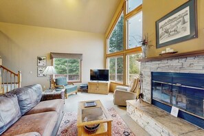 TV, fireplace, books