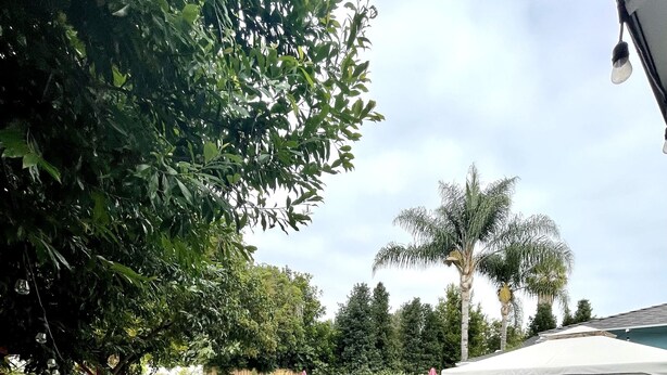 Ein Garten mit Schwimmbad, Gartenmöbeln und einer überdachten Sitzgelegenheit.
