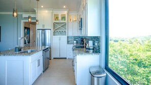 A modern kitchen with white cabinets, granite countertops, and a stainless steel refrigerator. There is a window providing a view of greenery outside. - Oceanfront Sunset Gecko Condo - Ground Floor 1A (Placencia)
