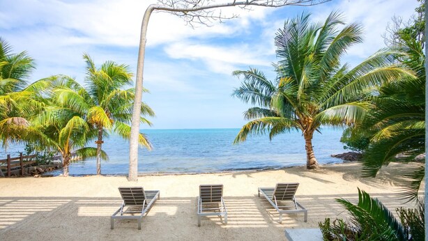A beach with three metal lounge chairs and a white umbrella, palm trees, and a clear view of the ocean. - Oceanfront Sunset Gecko Condo - Ground Floor 1A (Placencia)