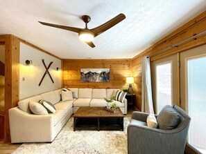 Smart TV, fireplace, video games, books