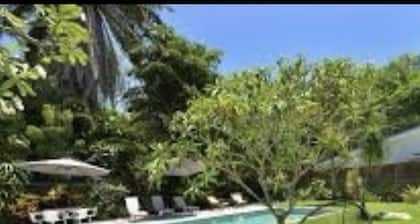 Jamaica House Port Douglas, Stay in one of Port Douglas's most iconic homes.