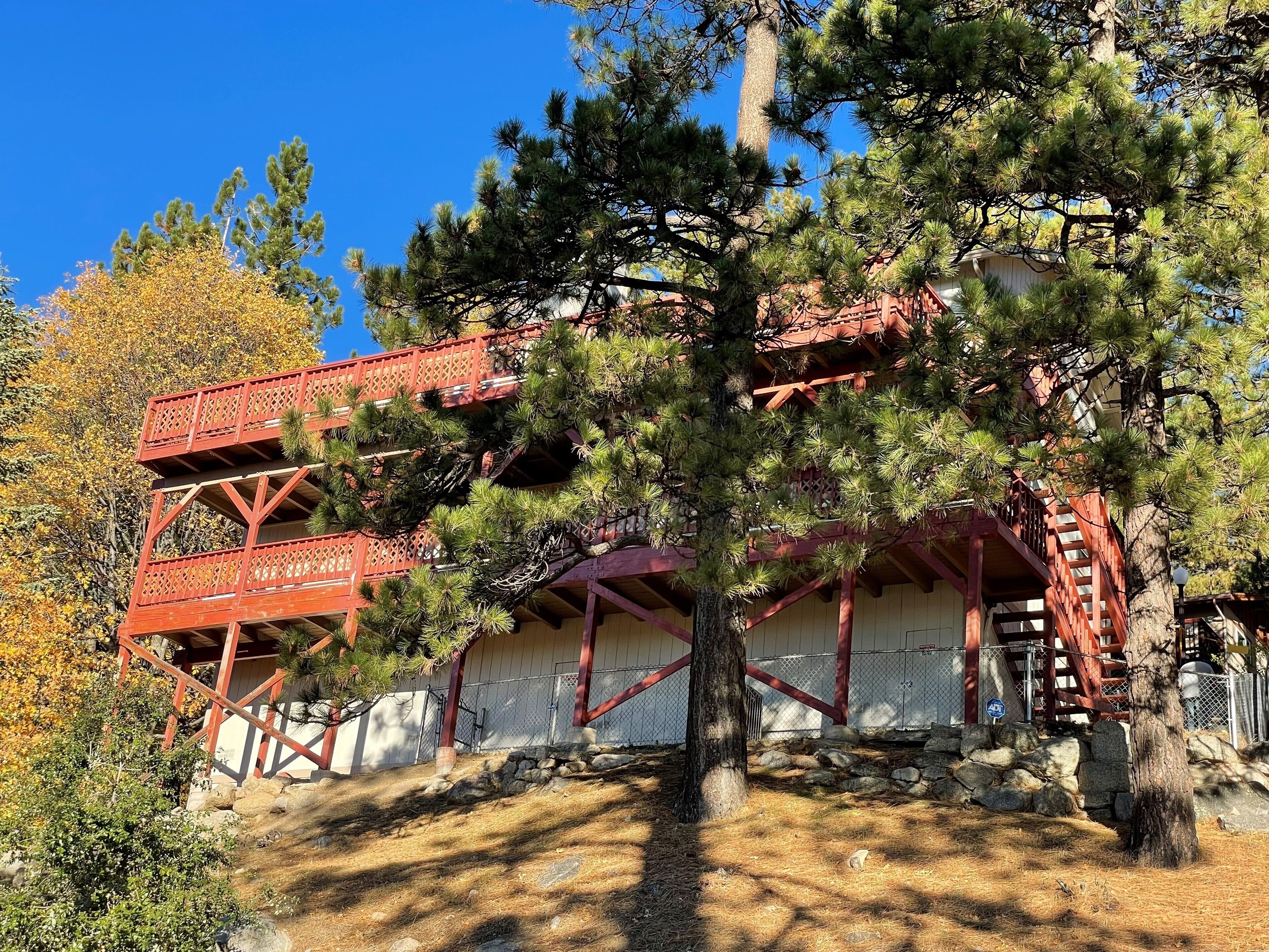 A traditional Japanese-style building with a red wooden structure, surrounded by pine trees.