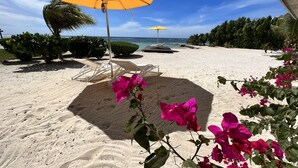 A beach with white lounge chairs and yellow umbrellas, surrounded by greenery and a clear blue sky.