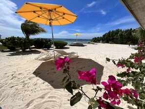 Plage, chaises longues, serviettes de plage