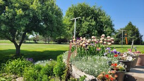 A garden with various potted plants and flowers, a wooden bench, and a stone pathway.