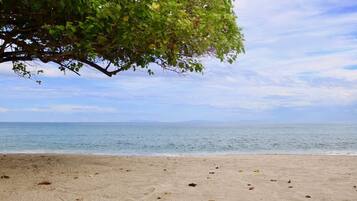 A beach with a tree providing shade, a sandy shore, and a calm sea in the background.