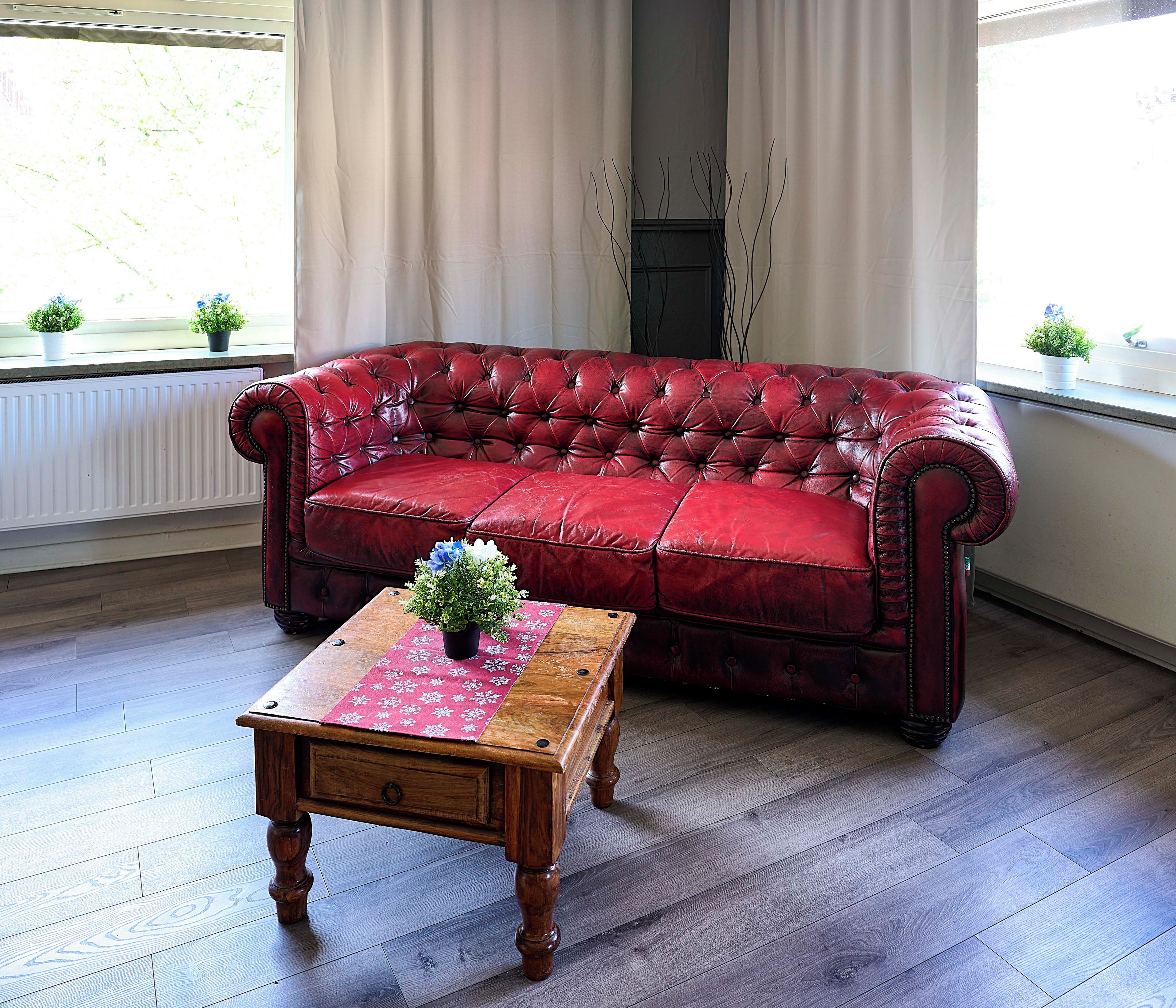 A red leather sofa with a floral table runner and a potted plant in front.