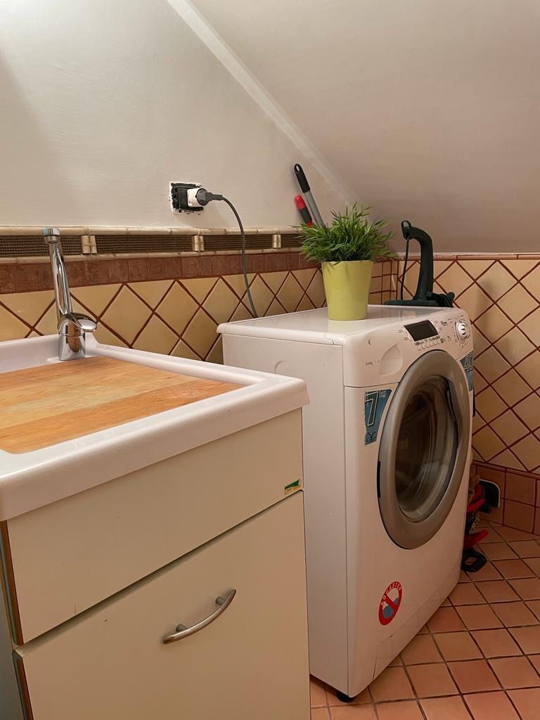 Ein Waschbereich mit Waschmaschine, Spüle und Schneidebrett aus Holz sowie einem Blumentopf.