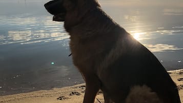 Una playa cerca