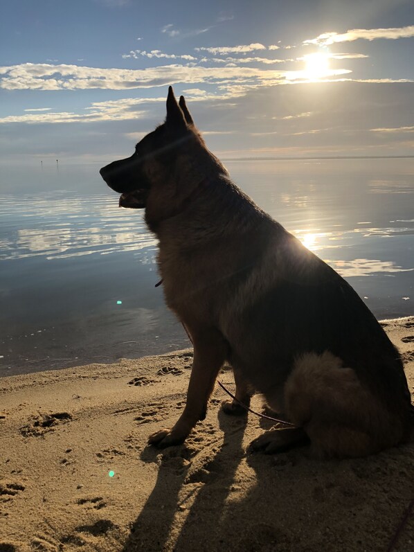 Una playa cerca