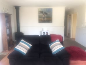 Smart TV, fireplace, DVD player, books