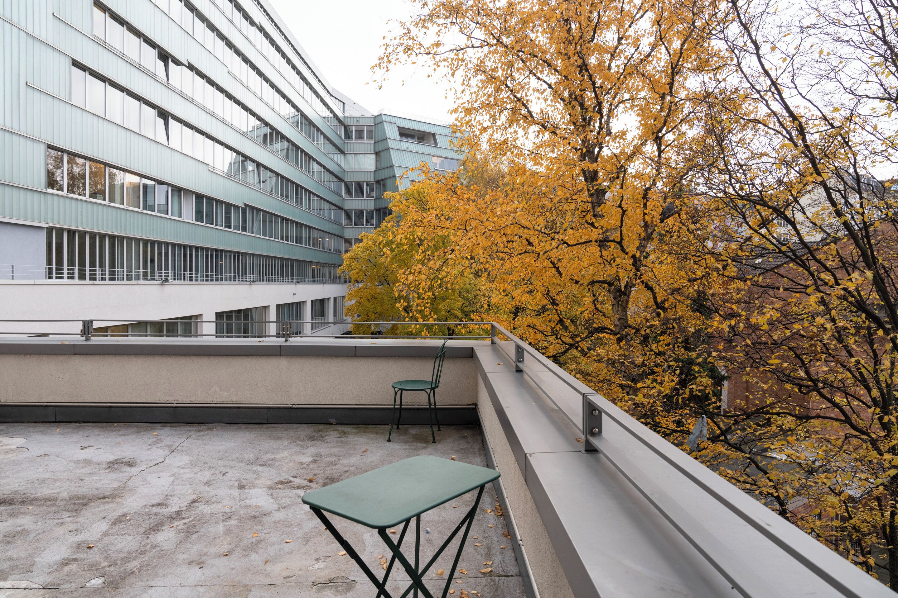 superior room, 1 queen bed with sofa bed, terrace | terrace/patio