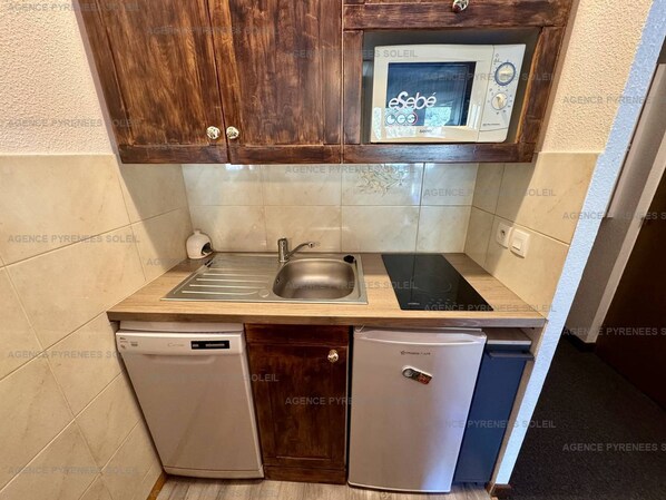 A compact kitchen with a built-in microwave, a sink, and a dishwasher.