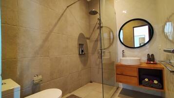 Une salle de bain moderne avec une douche à parois de verre, des toilettes, un lavabo avec un miroir et un meuble-lavabo en bois.