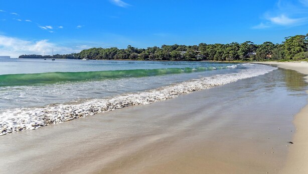 Une plage à l’eau claire, un rivage sablonneux et une zone boisée en arrière-plan.