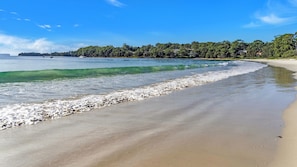 A beach with clear water, a sandy shore, and a forested area in the background.