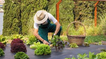 A person tending to plants in a garden with a variety of leafy vegetables and a wicker basket nearby.