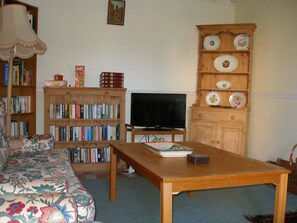 Televisión, reproductor de DVD, libros