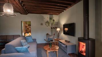 TV, caminetto, libri