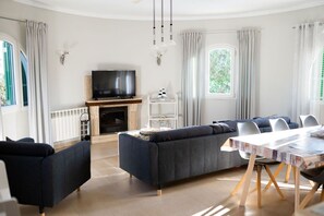 Smart TV, fireplace, books