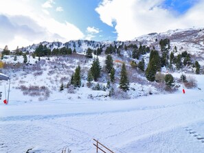 Sneeuw- en skisporten