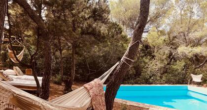 FINCA with PRIVATE SWIMMING POOL for 8/9 people in FORMENTERA near MIGJORN beach