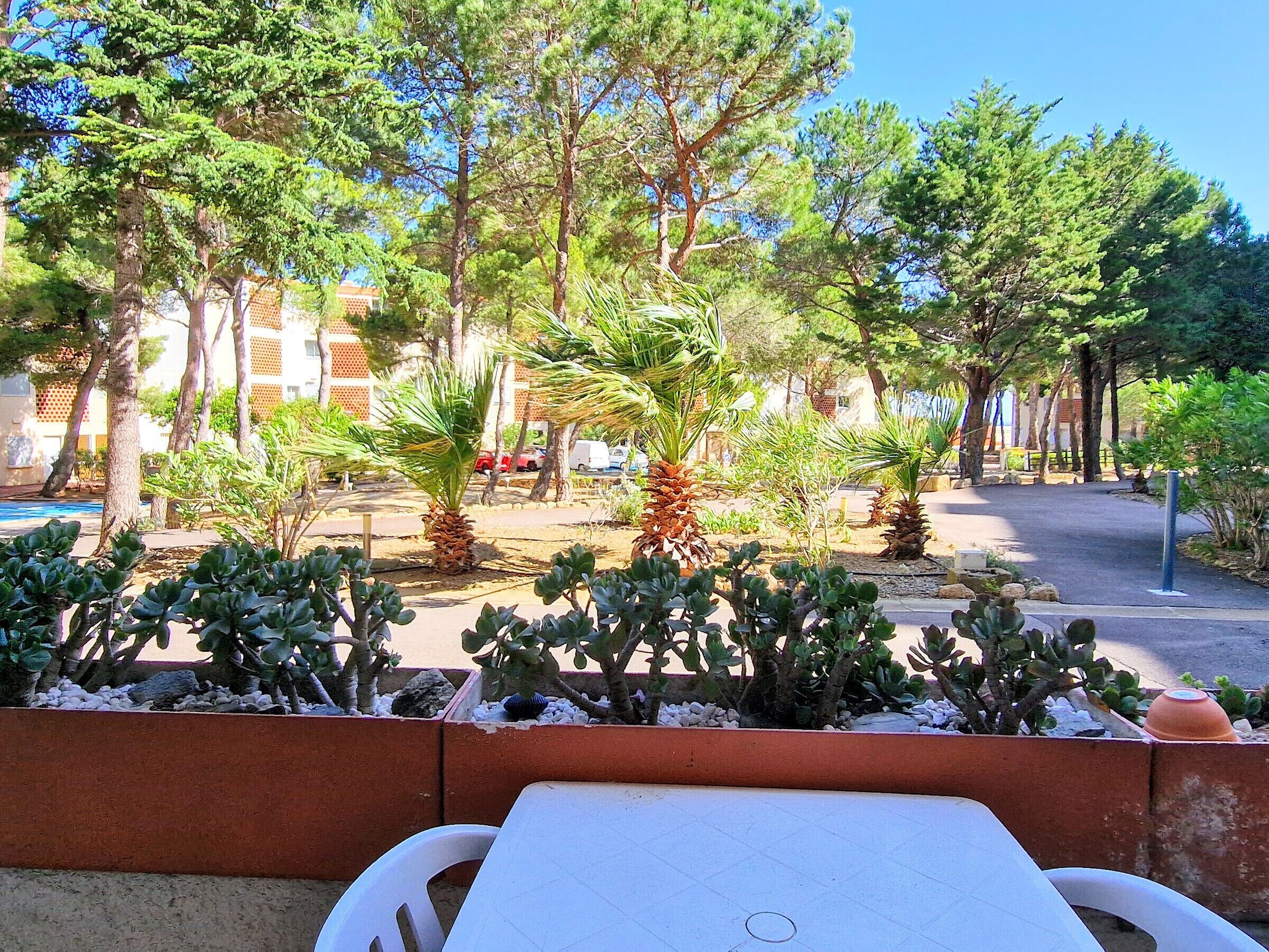 An outdoor seating area with a table and chairs, surrounded by cacti and palm trees, with a road and buildings in the background.