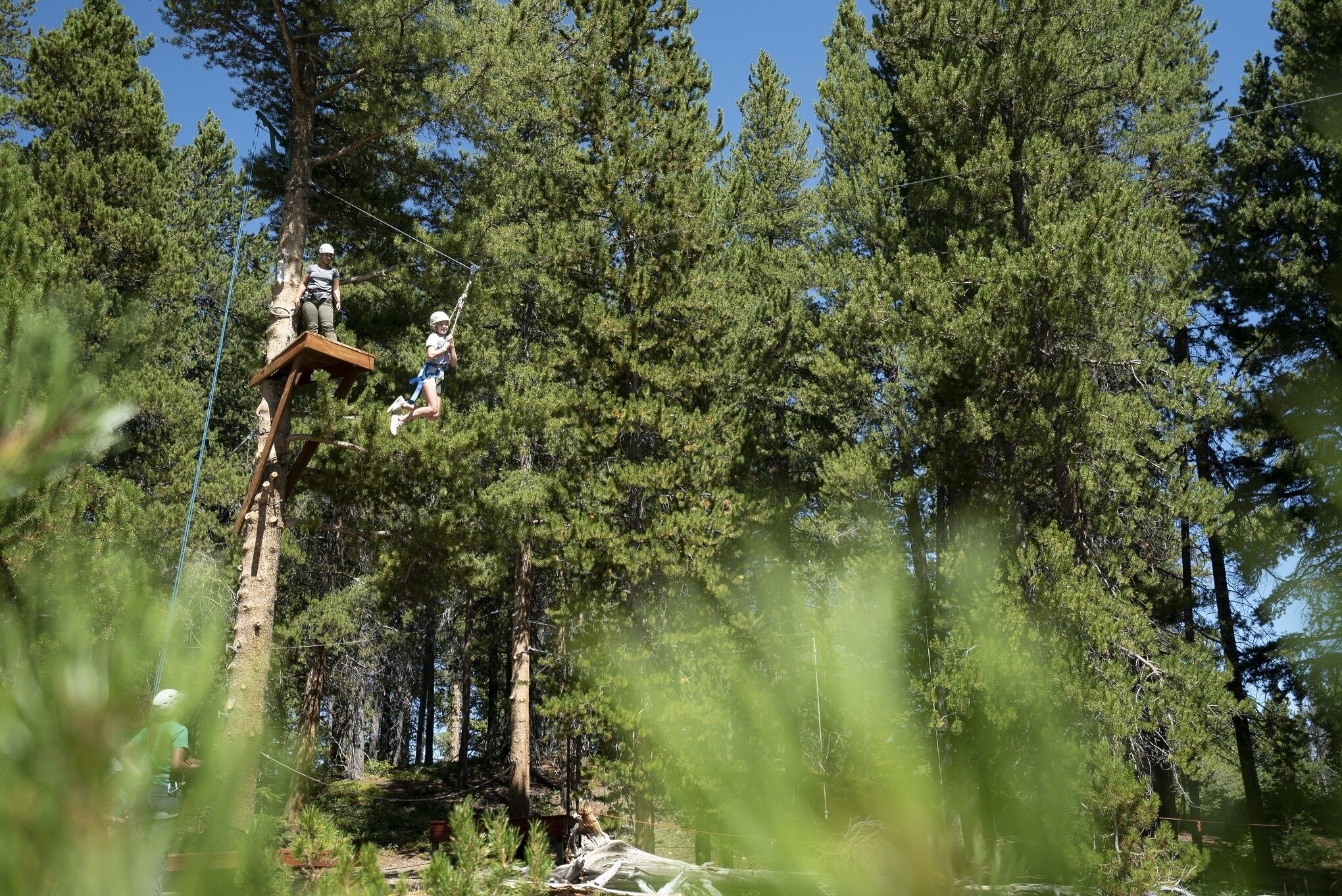 A platform in a forest with people engaged in an activity.