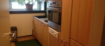 Castle view/castle view Linz