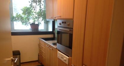 Castle view/castle view Linz