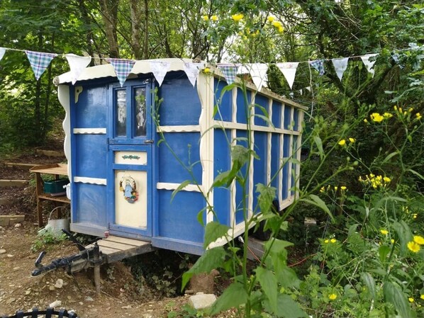 A small, blue and white cabin-like structure with a door and windows, surrounded by greenery and yellow flowers.