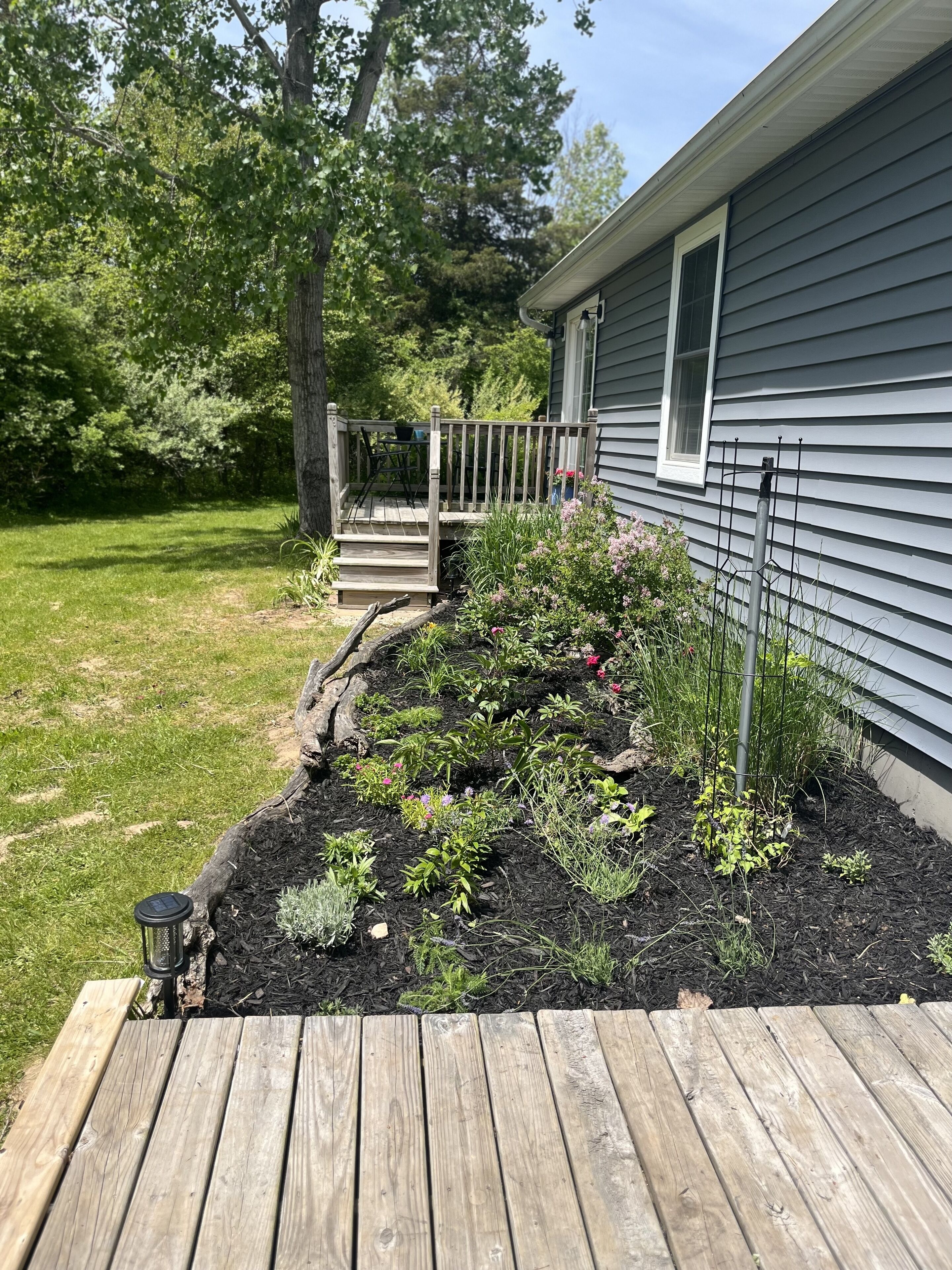 En träveranda som leder fram till ett hus med en liten veranda och en trädgård med olika växter och blommor.