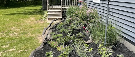 En träveranda som leder fram till ett hus med en liten veranda och en trädgård med olika växter och blommor.
