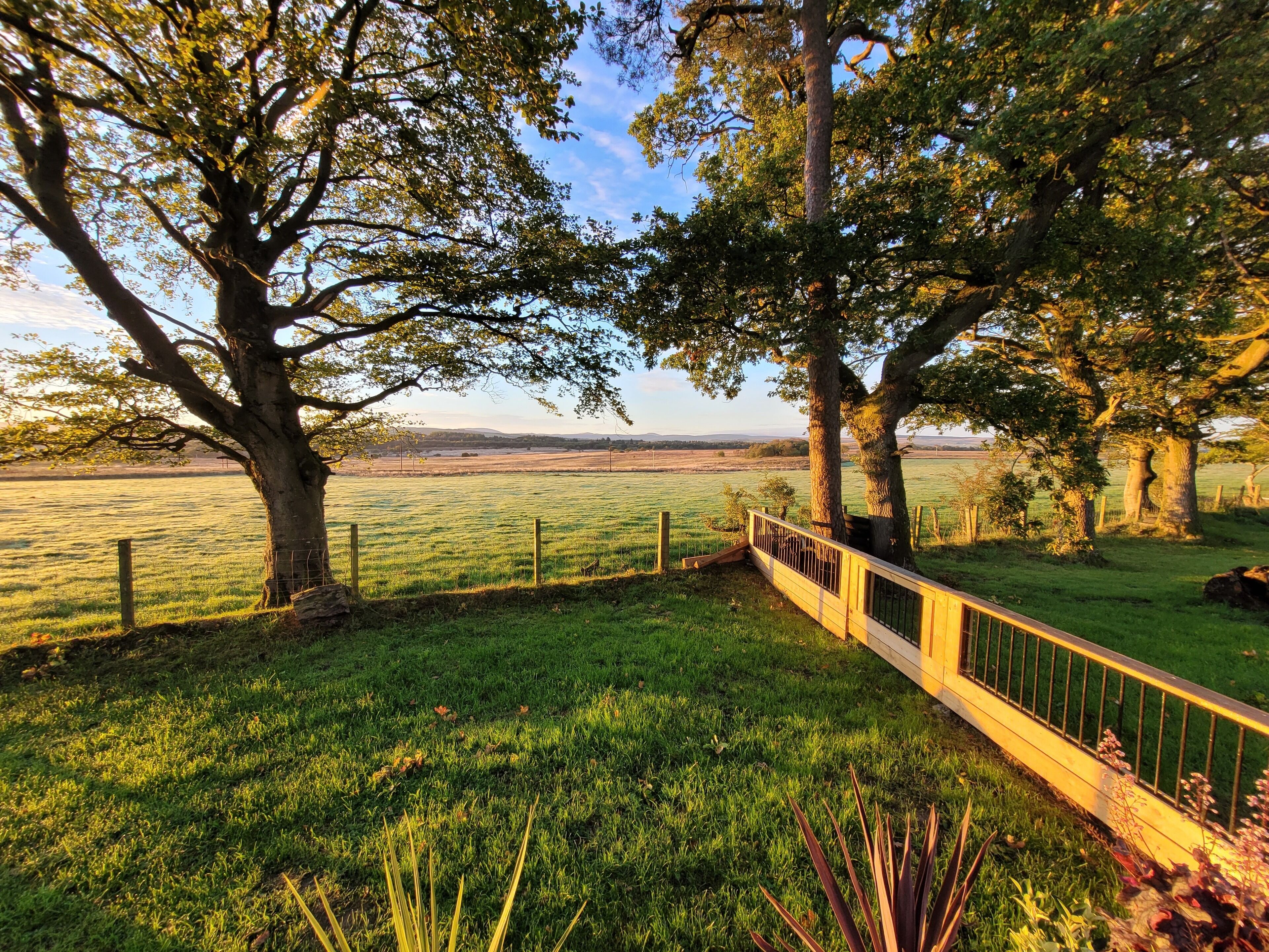 Cabin | Property grounds