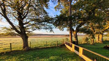 Cabin | Property grounds
