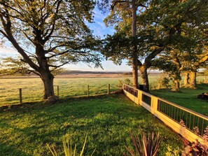 Ferienhütte | Unterkunftsgelände