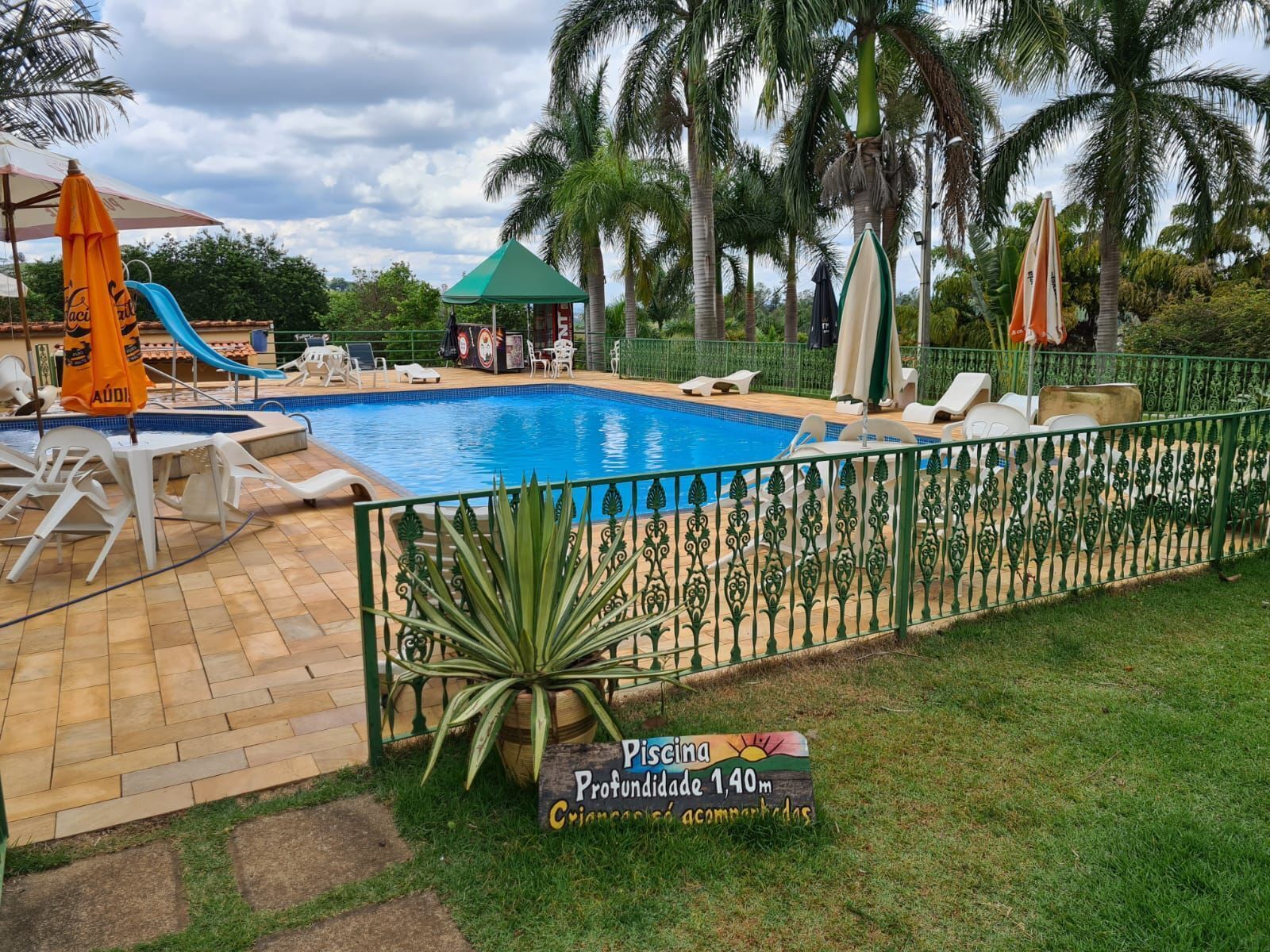A swimming pool with lounge chairs and umbrellas, surrounded by palm trees and a green fence.
