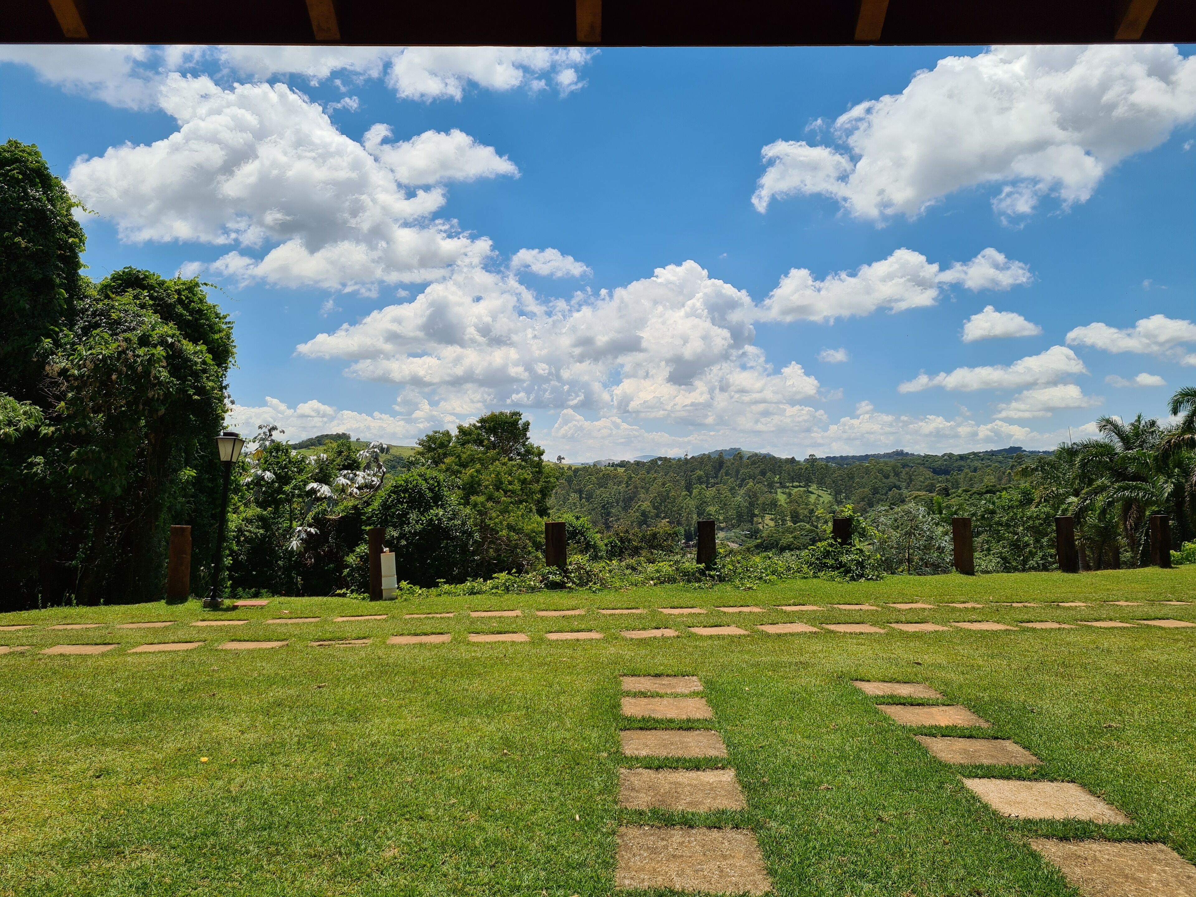 A grassy field with stepping stones leading to a forested area.