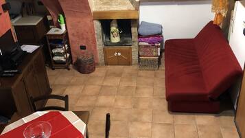 Télévision, cheminée, lecteur de DVD, livres