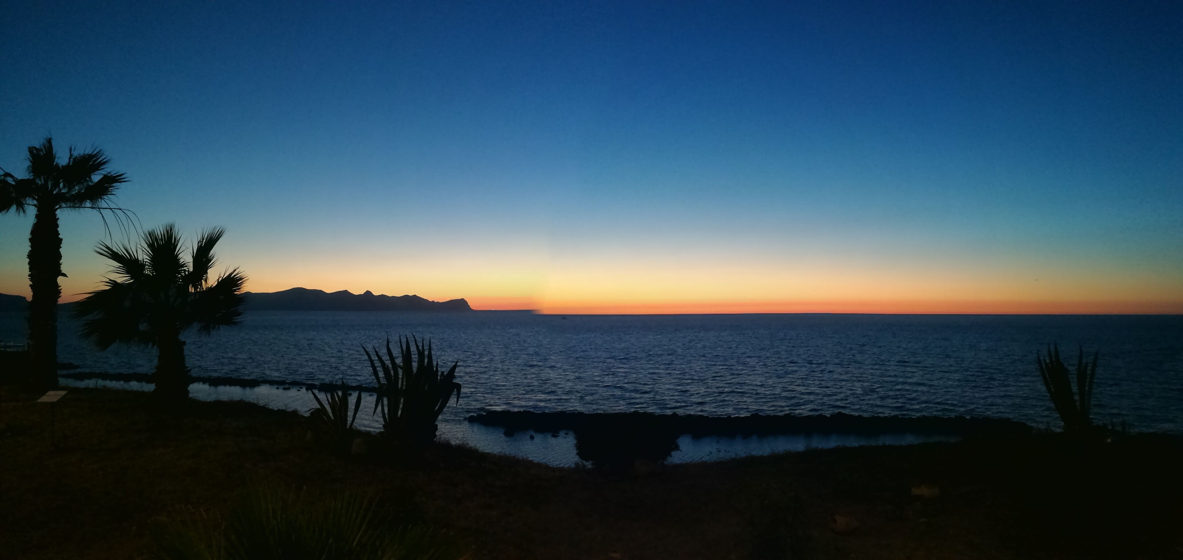 A coastal sunset view with palm trees and a calm sea.