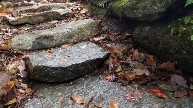 A stone pathway with moss-covered rocks and fallen leaves, leading through a forested area.