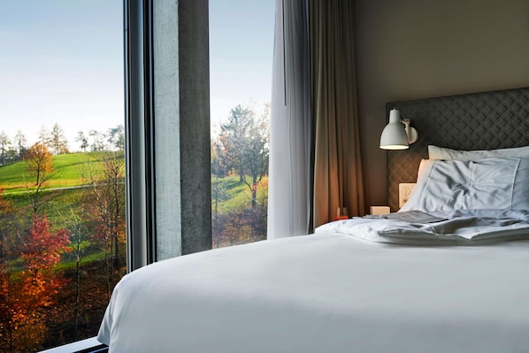 Chambre, 1 très grand lit | Vue de la chambre