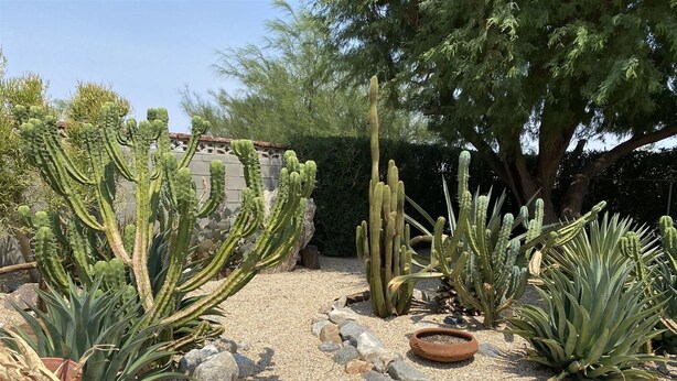 House (Snowview) | Property grounds - Snowview (Palm Springs)